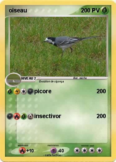 Pokemon oiseau