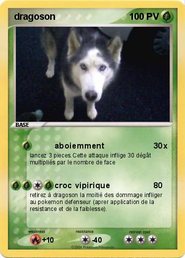 Pokemon dragoson