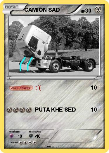 Pokemon CAMION SAD