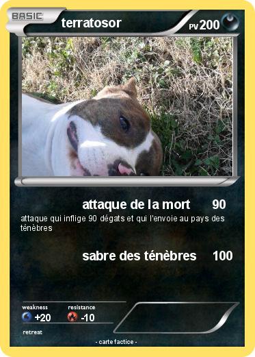 Pokemon terratosor