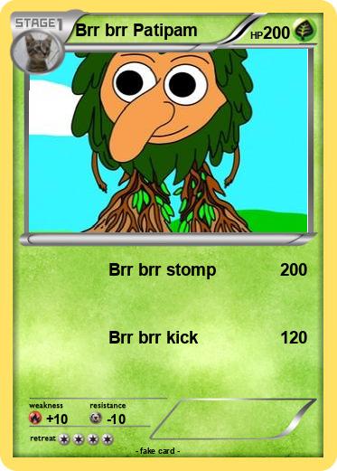 Pokemon Brr brr Patipam