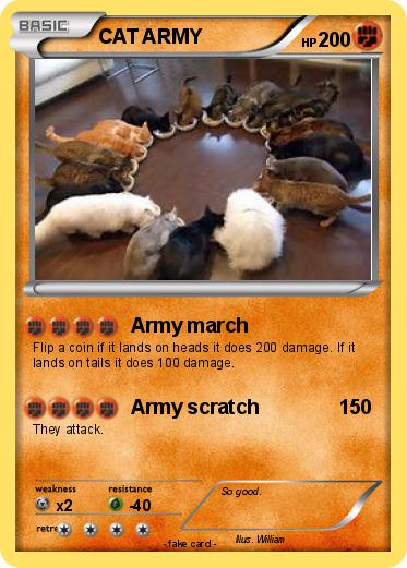 Pokemon CAT ARMY