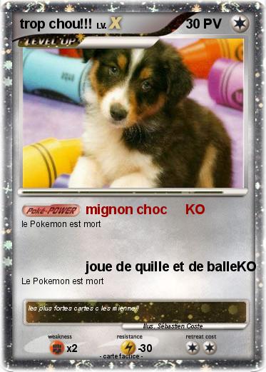 Pokemon trop chou!!!