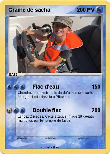 Pokemon Graine de sacha