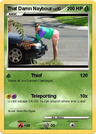 Pokemon That Damn Naybour