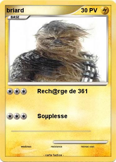 Pokemon briard