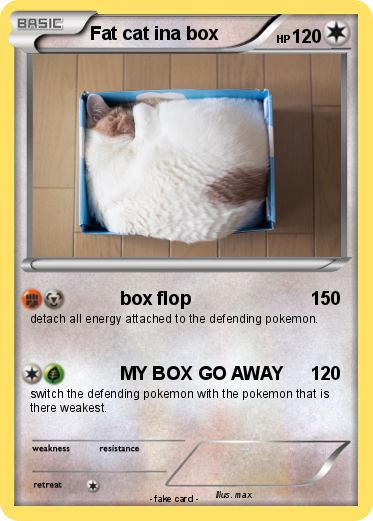 Pokemon Fat cat ina box