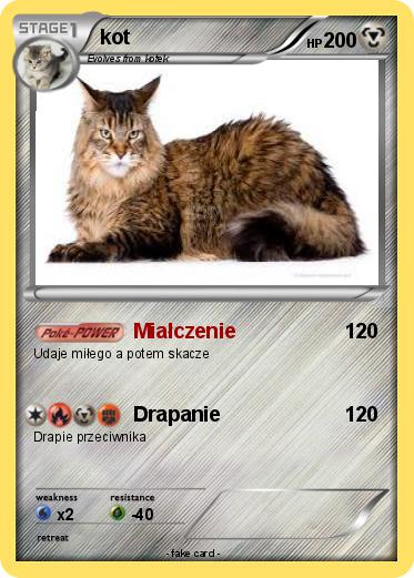 Pokemon kot