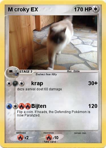 Pokemon M croky EX