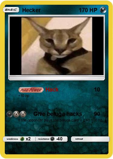 Pokemon Hecker
