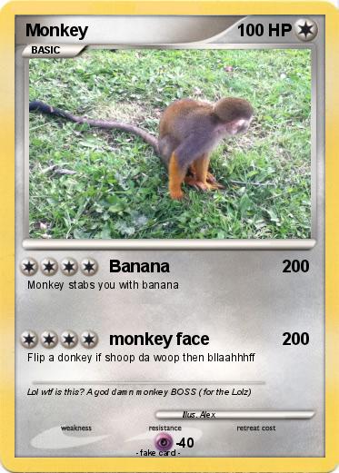 Pokemon Monkey