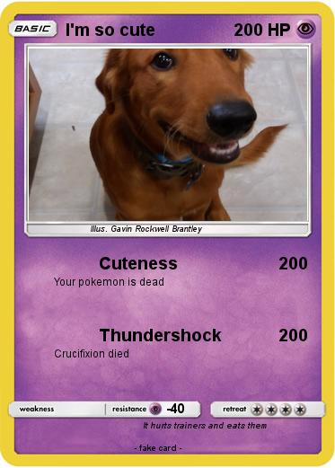 Pokemon I'm so cute