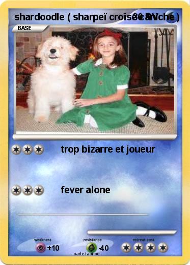 Pokemon shardoodle ( sharpeï croisé caniche )