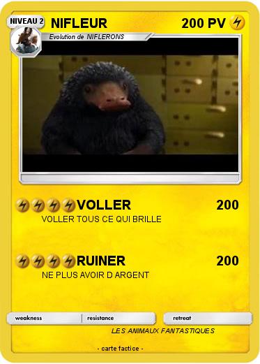 Pokemon NIFLEUR
