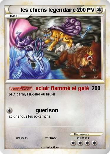 Pokemon les chiens legendaire