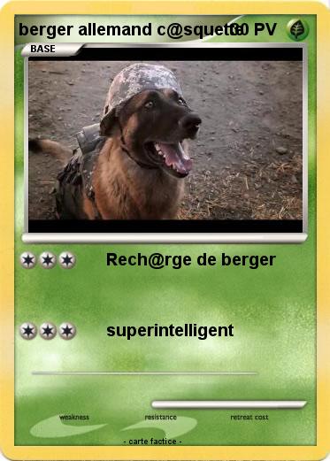 Pokemon berger allemand c@squette