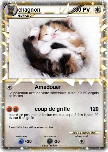 Pokemon chagnon                      3