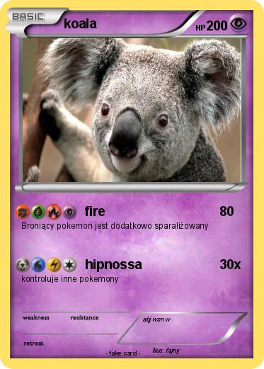 Pokemon koala