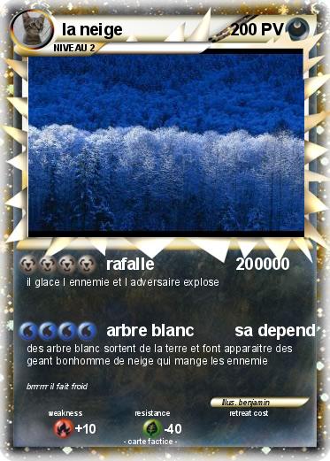 Pokemon la neige