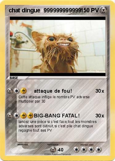 Pokemon chat dingue  999999999999