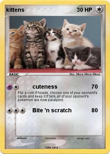 Pokemon kittens
