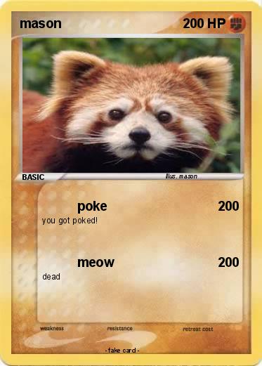 Pokemon mason