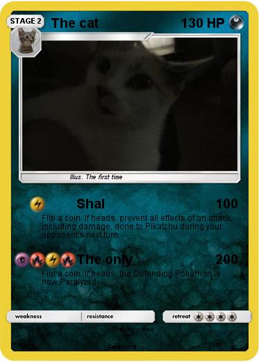 Pokemon The cat