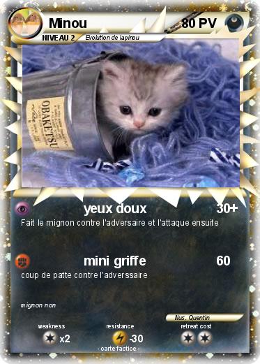 Pokemon Minou