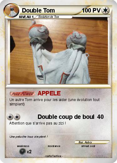 Pokemon Double Tom