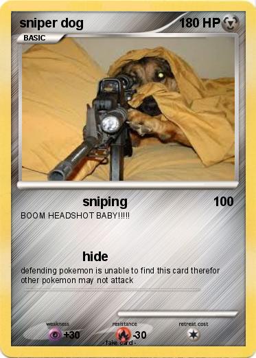 Pokemon sniper dog