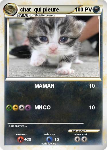 Pokemon chat  qui pleure