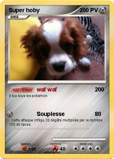 Pokemon Super hoby