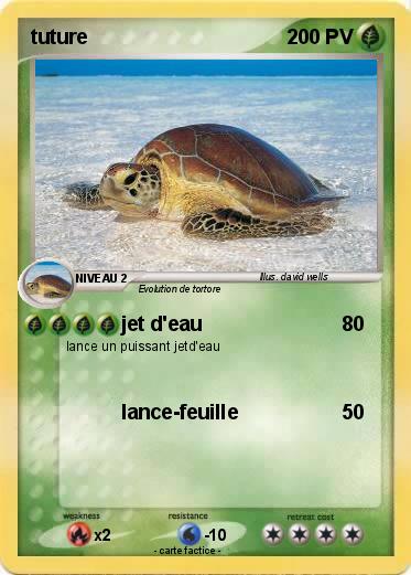Pokemon tuture