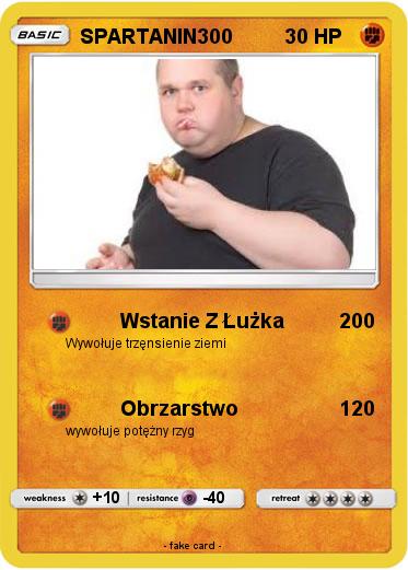 Pokemon SPARTANIN300