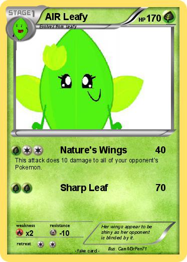 Pokemon AIR Leafy