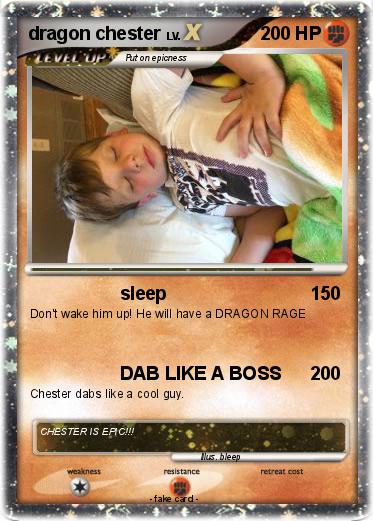 Pokemon dragon chester