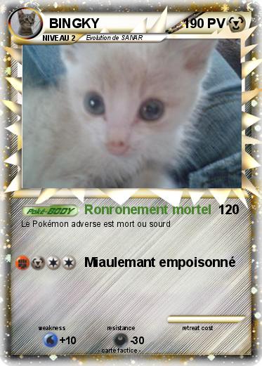 Pokemon BINGKY