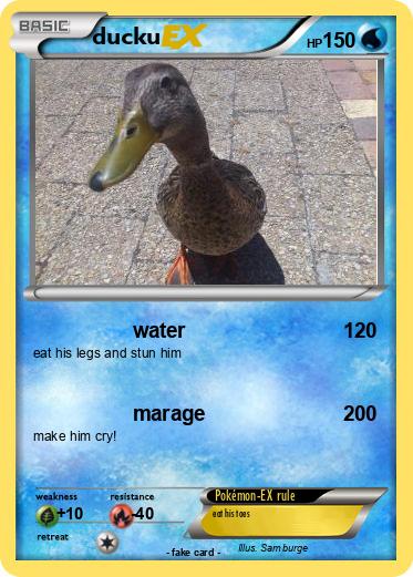 Pokemon ducku