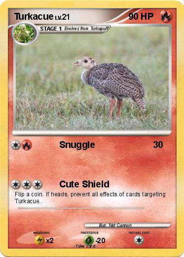Pokemon Turkacue