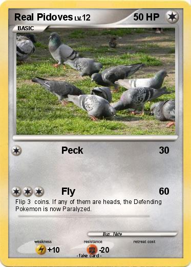 Pokemon Real Pidoves