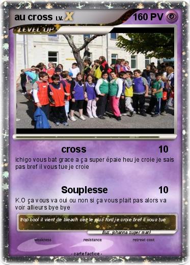 Pokemon au cross
