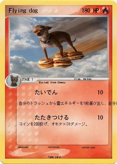 Pokemon Flying dog