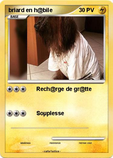 Pokemon briard en h@bile