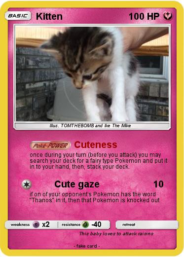 Pokemon Kitten