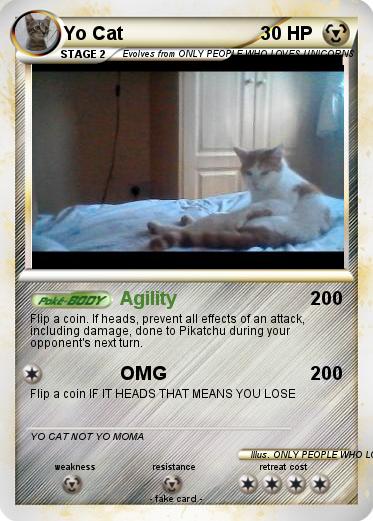 Pokemon Yo Cat