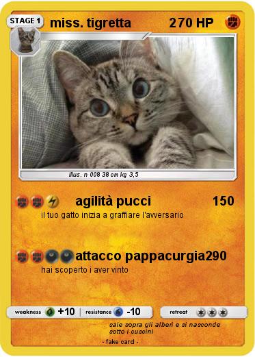 Pokemon miss. tigretta           2