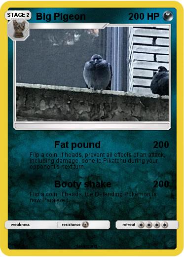 Pokemon Big Pigeon