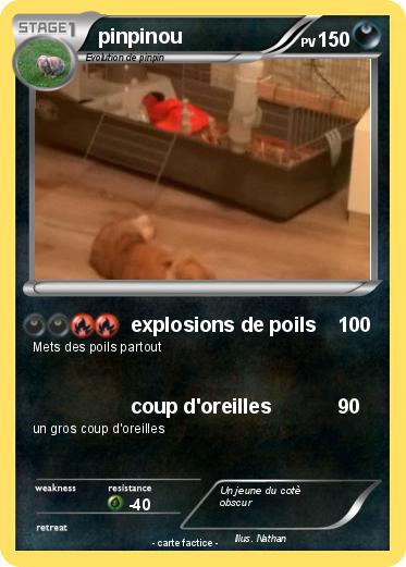 Pokemon pinpinou