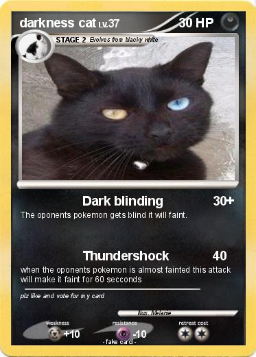 Pokemon darkness cat