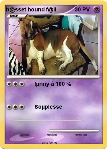Pokemon b@sset hound f@il